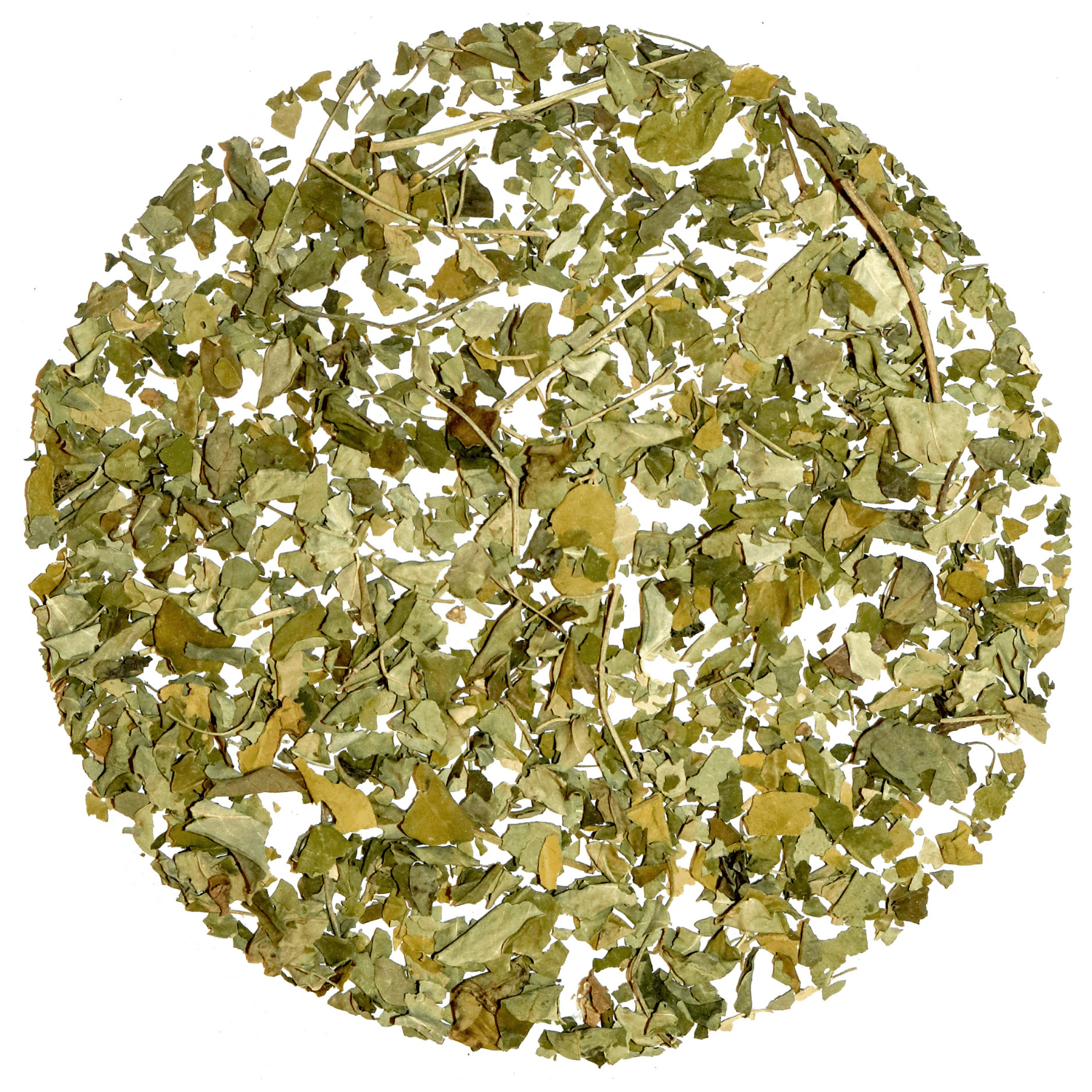 Pure Moringa Tea - Tearaja