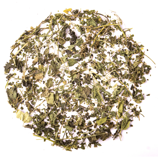 Pure Nettle Leaf Herbal Tea - Tearaja
